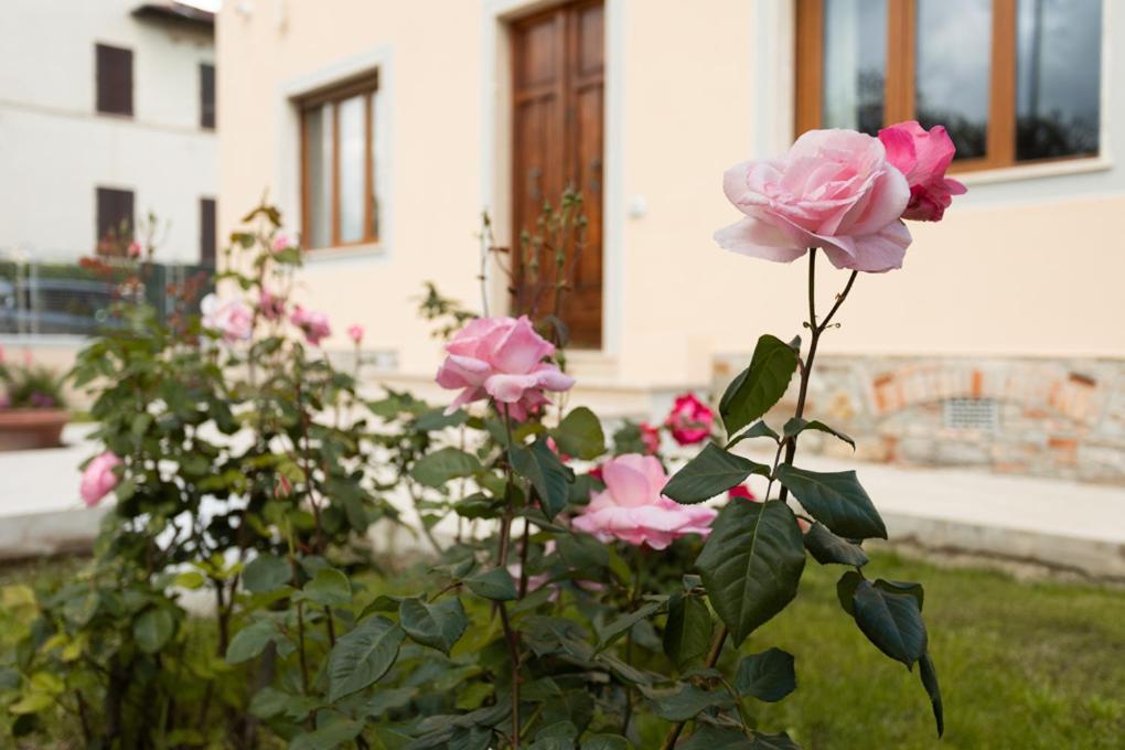 Villa Rosa Antica Lukka Zewnętrze zdjęcie